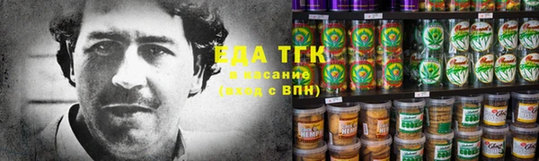 индика Гусиноозёрск