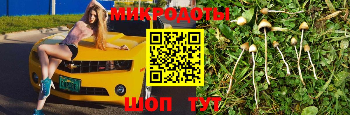 Галлюциногенные грибы прущие грибы Кириши