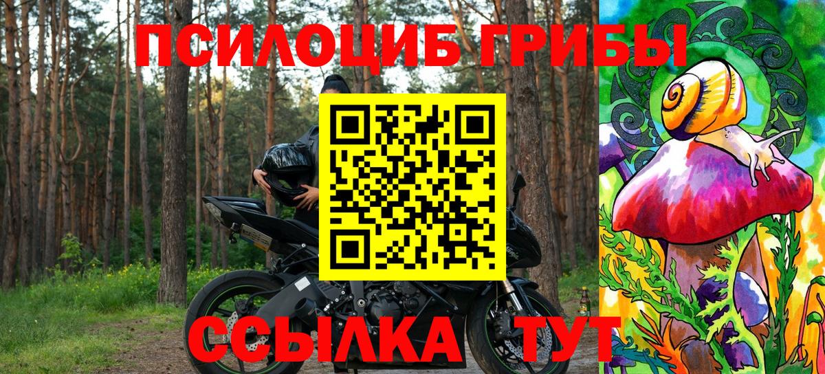 Кириши  Галлюциногенные грибы Magic Shrooms  Вход с VPN  Галлюциногенные грибы Psilocybe 